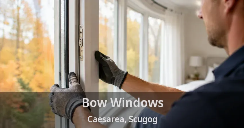 Bow Windows Caesarea, Scugog - ON