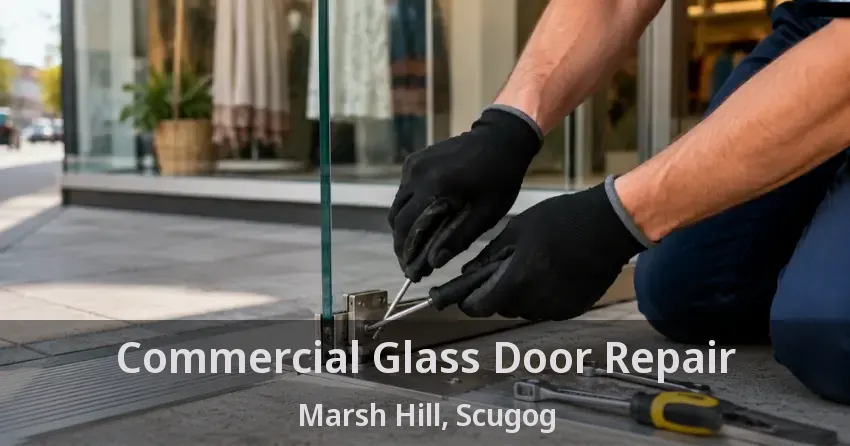 Commercial Glass Door Repair Marsh Hill, Scugog - ON