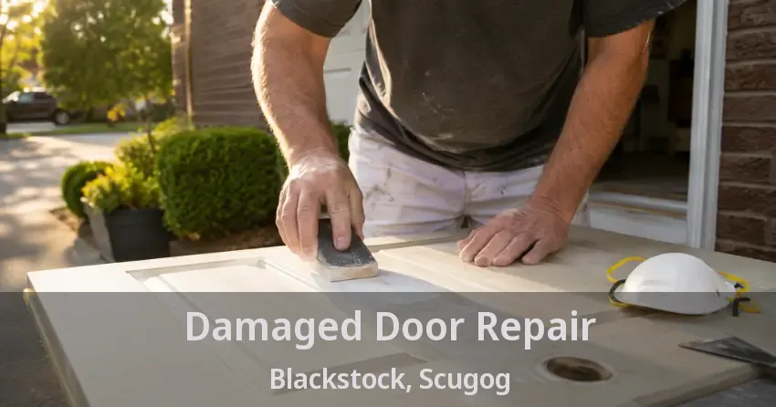 Damaged Door Repair Blackstock, Scugog - ON