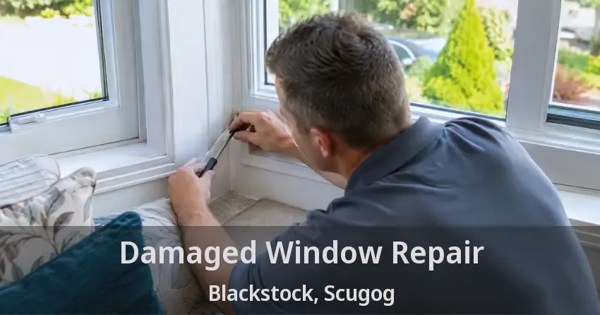 Damaged Window Repair Blackstock, Scugog - ON