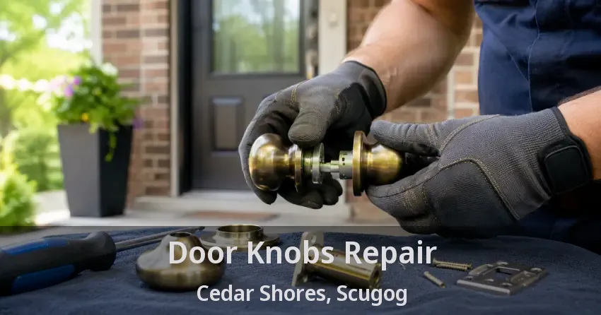 Door Knobs Repair Cedar Shores, Scugog - ON
