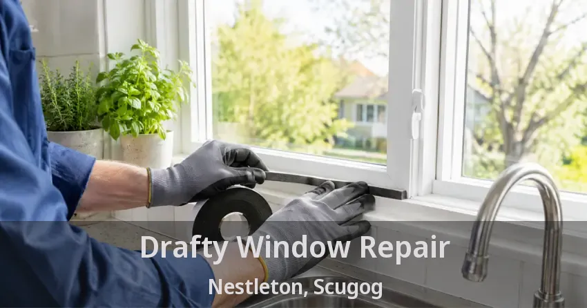 Drafty Window Repair Nestleton, Scugog - ON