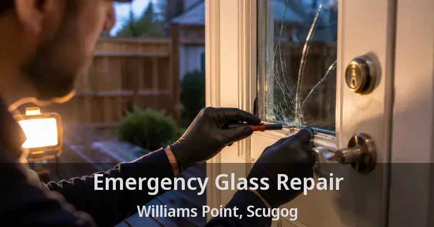 Emergency Glass Repair Williams Point, Scugog - ON