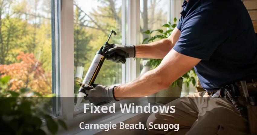 Fixed Windows Carnegie Beach, Scugog - ON