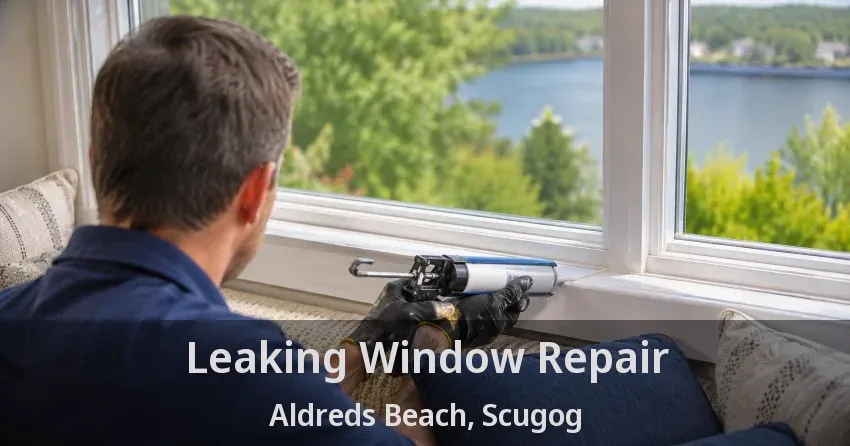 Leaking Window Repair Aldreds Beach, Scugog - ON