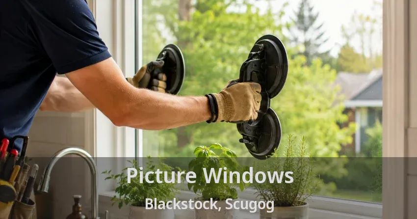 Picture Windows Blackstock, Scugog - ON
