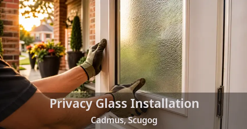 Privacy Glass Installation Cadmus, Scugog - ON
