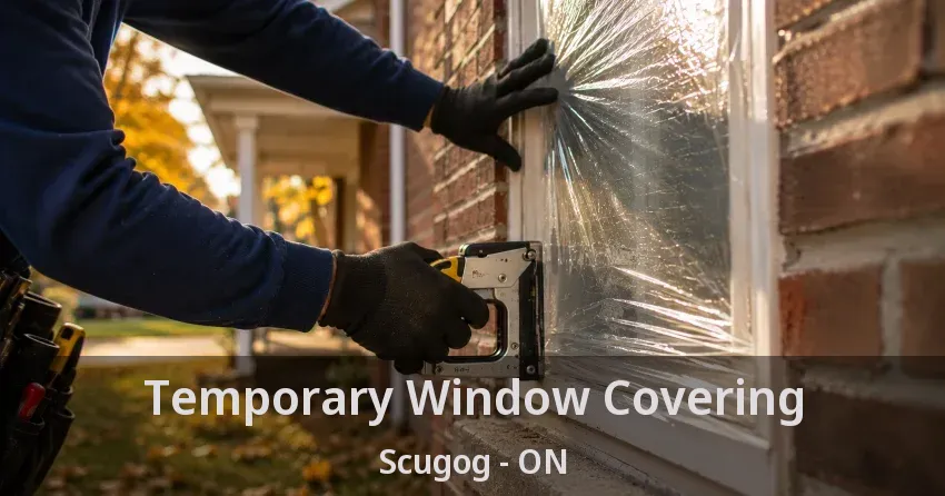 Temporary Window Covering Scugog - ON