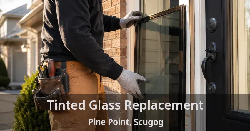 Tinted Glass Replacement Pine Point, Scugog - ON