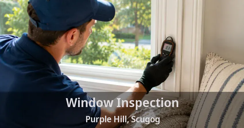Window Inspection Purple Hill, Scugog - ON