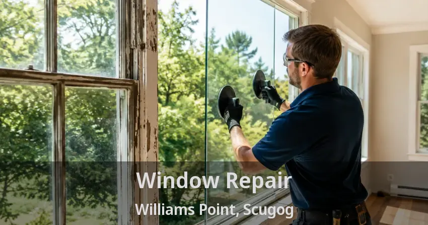 Window Repair Williams Point, Scugog - ON