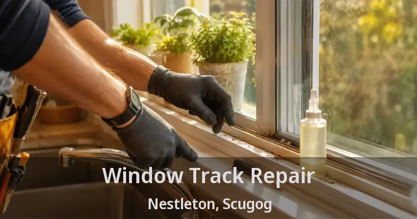 Window Track Repair Nestleton, Scugog - ON